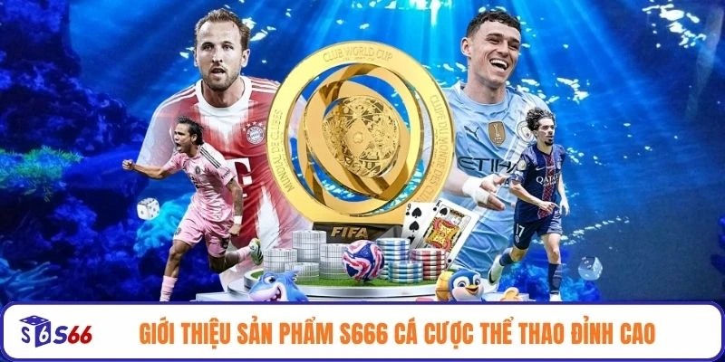 Giới thiệu sản phẩm S666 cá cược thể thao đỉnh cao